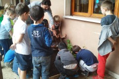 IL POLLICE VERDE DELLA SECONDA A