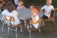 PRIMAVERA AL PICNIC ... D'ESTATE