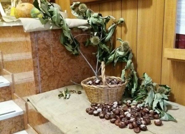 15134371_1290428144348549_72399852_n