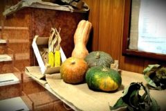 L'autunno arriva a scuola!