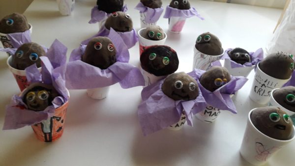 prim7_1850779585209250_41329207_o