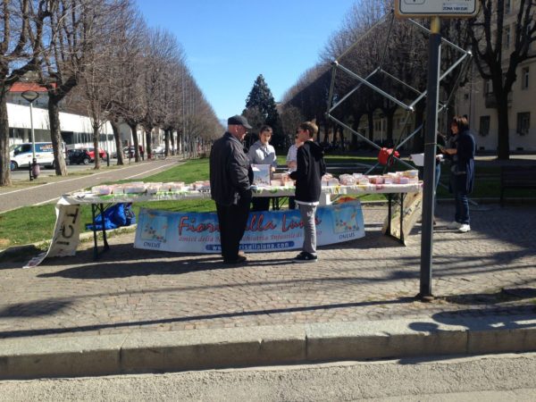 WhatsApp Image 2017-03-14 at 14.16.13