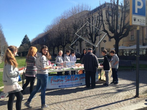 WhatsApp Image 2017-03-14 at 14.16.14