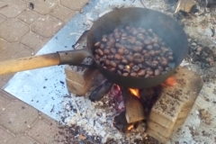 FESTA DELL'ACCOGLIENZA