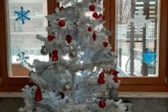 PREPARIAMOCI AL NATALE E GIOCHIAMO CON LA NEVE