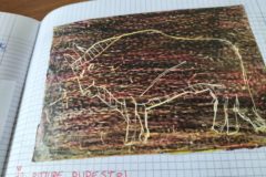 Primitivi per un giorno