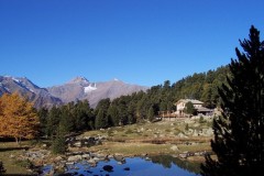 GIORNATA VERDE 2015 - CONSIGLI PER L'USO