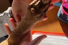 UN’ORA CON L’EGITTOLOGA: COME LAVORA UNO STORICO DELL’ARTE